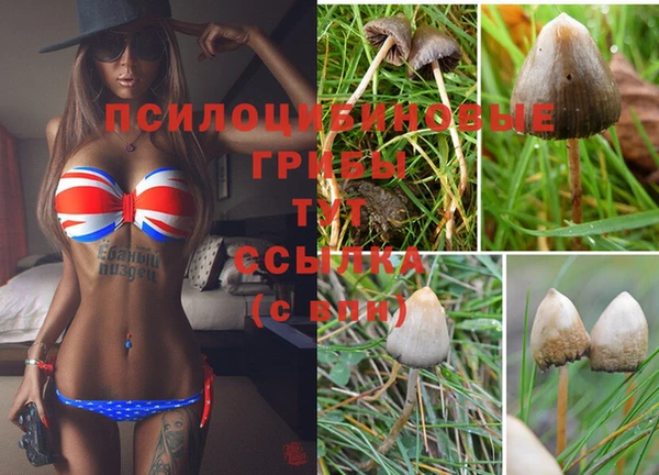 ешки Абдулино