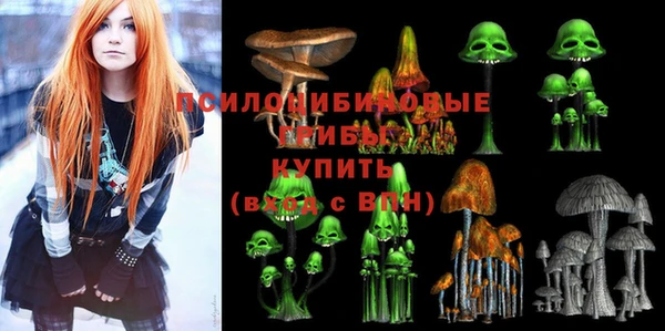 гидра Алексеевка