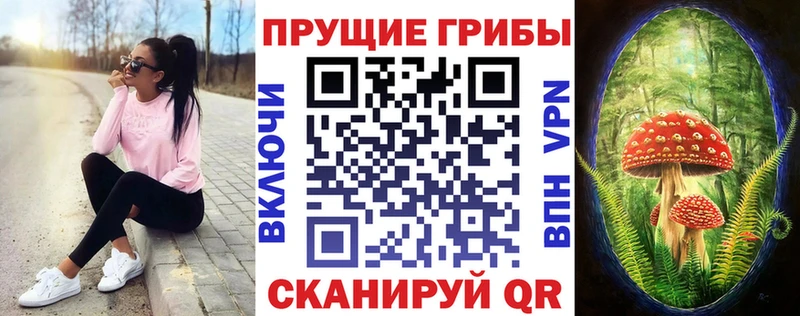 Галлюциногенные грибы Magic Shrooms Истра