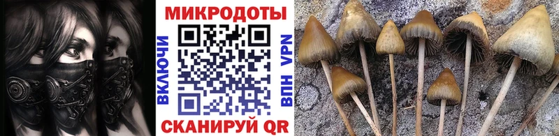 Псилоцибиновые грибы прущие грибы  что такое наркотик  Истра 